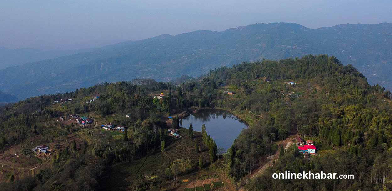 आम निर्वाचन २०८२ - परिणाम